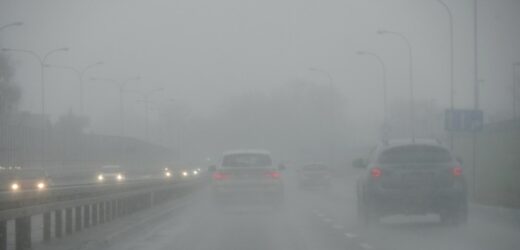 Gołoledź i gęsta mgła. Ostrzeżenie IMGW