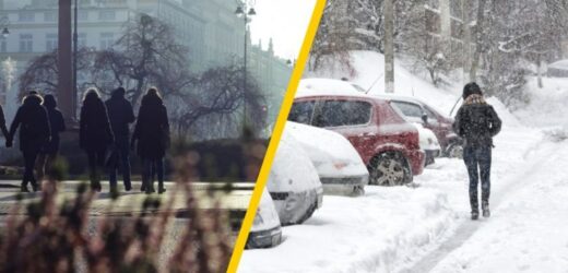 Tegoroczna zima sroga czy łagodna? Jest długoterminowa prognoza