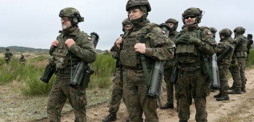 Zatrudniasz żołnierzy WOT? W życie weszła ustawa, która ma cię wesprzeć