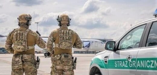 Agresywny pasażer samolotu. Polak chciał uszkodzić okno, zaatakował strażnika