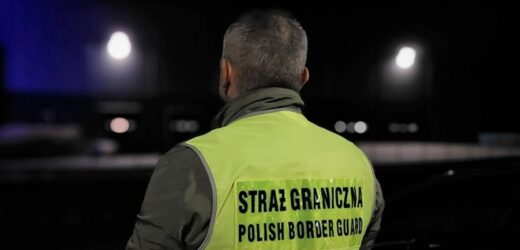 Warmińsko-mazurskie. Straż graniczna: 780 cudzoziemców nielegalnie zatrudnionych