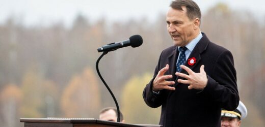 Sikorski pisze list do członków KO i apeluje o głosy w prawyborach
