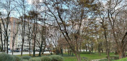 „Zostawcie nasz Eko Park”. Mieszkańcy Ursusa protestują