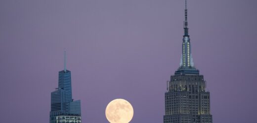 Księżyc Bobrów na niebie. To ostatnia superpełnia roku