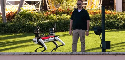 Pies robot pilnuje rezydencji Donalda Trumpa