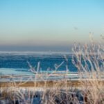 Niecodzienny widok nad Bałtykiem. Na plażach znów zrobiło się tłoczno