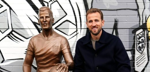Budził wiele kontrowersji, w końcu został odsłonięty. Harry Kane ma swój pomnik