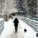 Najbliższe dni z silnym wiatrem i opadami śniegu. Są alerty IMGW