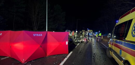 Dwie osoby nie żyją, jedna jest ranna. Tragedia w Kujawsko-Pomorskiem