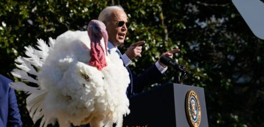Joe Biden ułaskawił indyki przed Świętem Dziękczynienia