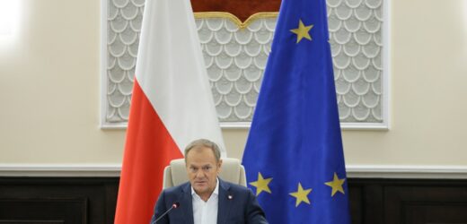 Tusk i Kosiniak-Kamysz zapowiadają: Polska nie zaakceptuje umowy z Mercosur