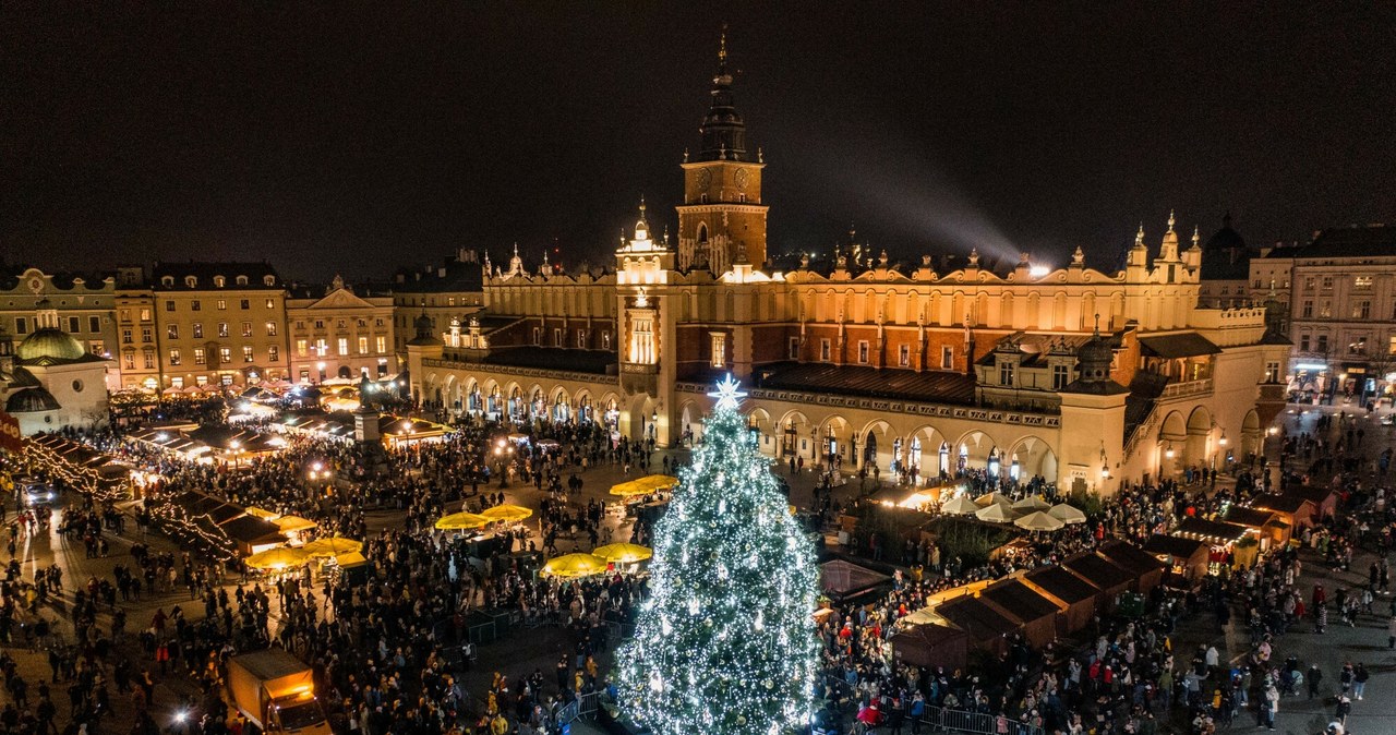 Wiadomo, kiedy na Rynku Głównym w Krakowie rozbłyśnie choinka