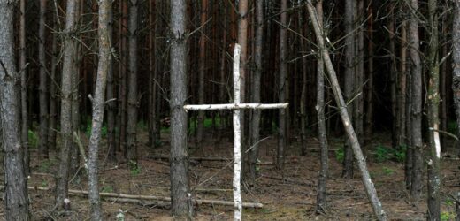 Ekspert ws. Wołynia: Być może początek przełomu, poznamy to po efektach