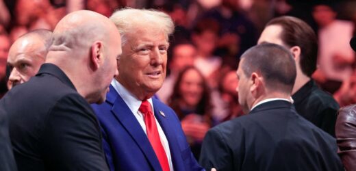 Groźby i alarmy bombowe. Zamieszanie wokół administracji wybranej przez Trumpa