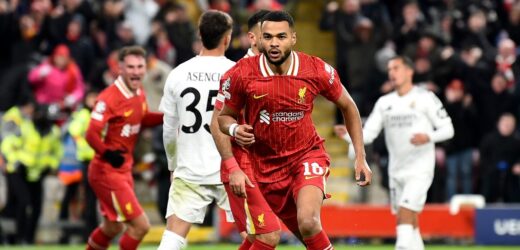Liga Mistrzów: Liverpool pokonał Real po ponad 15 latach
