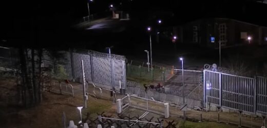 Migranci znaleźli nowy sposób na nielegalne przekraczanie granicy Polski [NAGRANIE]