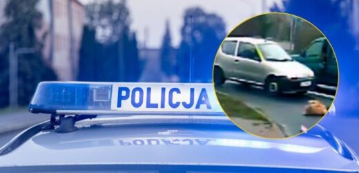 Wstrząsające nagranie. 80-latek potrącił na pasach 6-latkę
