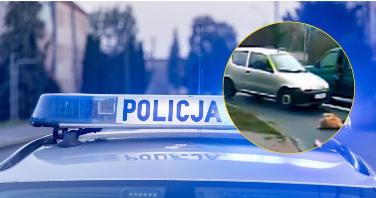 Wstrząsające nagranie. 80-latek potrącił na pasach 6-latkę