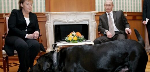 Jak Putin poszczuł Merkel psem, a potem ją przeprosił