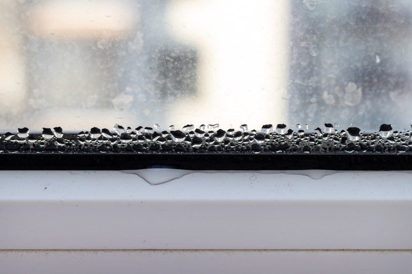 Babciny sposób na wilgoć w mieszkaniu. Połóż na parapecie kilka ziarenek