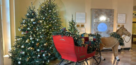 Biały Dom w świątecznym wydaniu. Zaprezentowano dekoracje