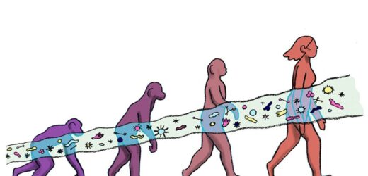 Przez jelita do dużego mózgu?