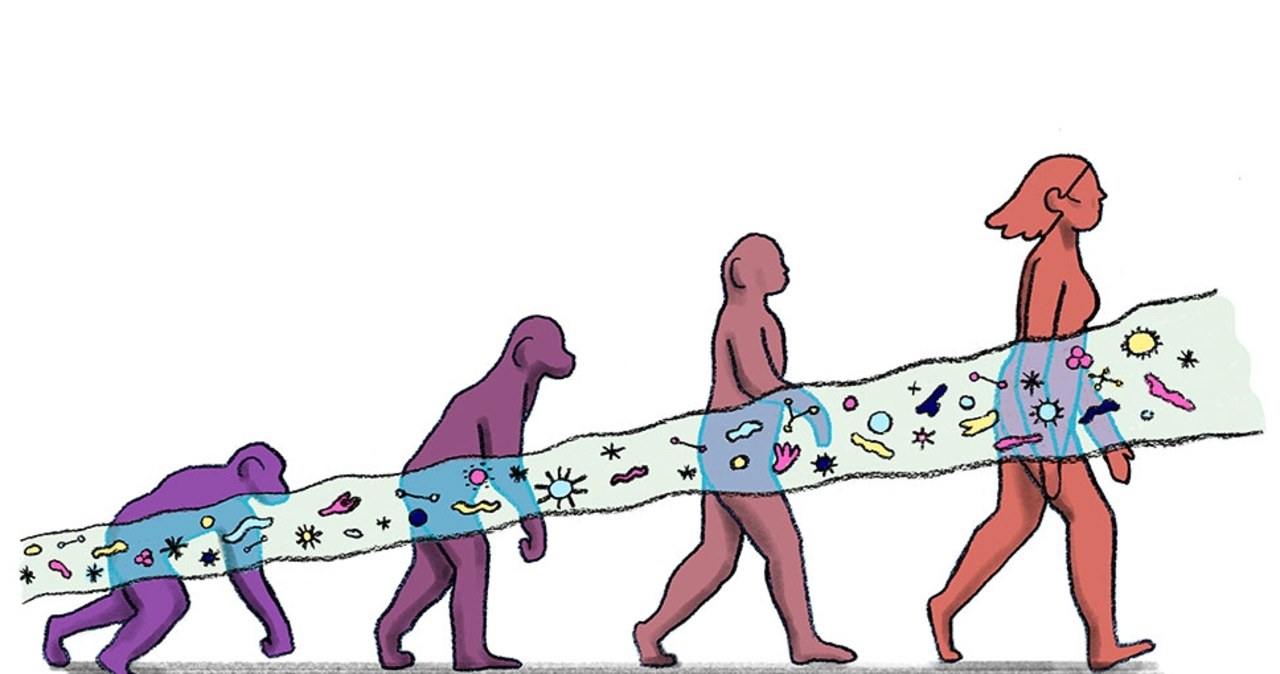 Przez jelita do dużego mózgu?