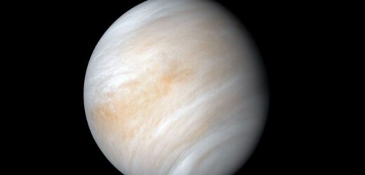 Nie taka „bliźniaczka Ziemi”. Na powierzchni Wenus nie było wody