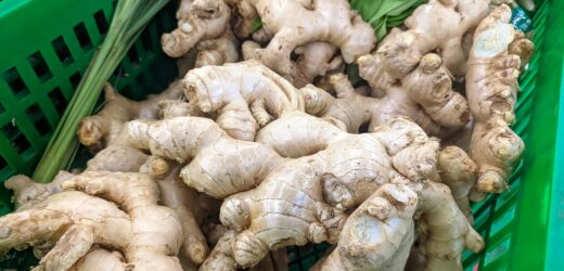 Imbir na czele listy najczęściej importowanych przypraw do UE w 2023 roku