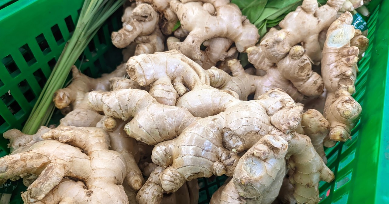 Imbir na czele listy najczęściej importowanych przypraw do UE w 2023 roku