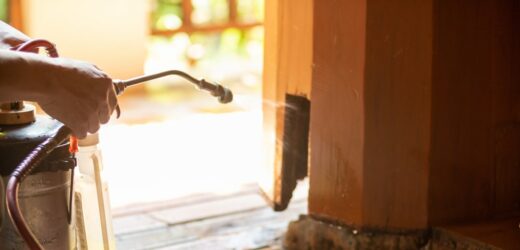 Seria śmiertelnych zatruć preparatami do zwalczania owadów. W całej Polsce trwają kontrole