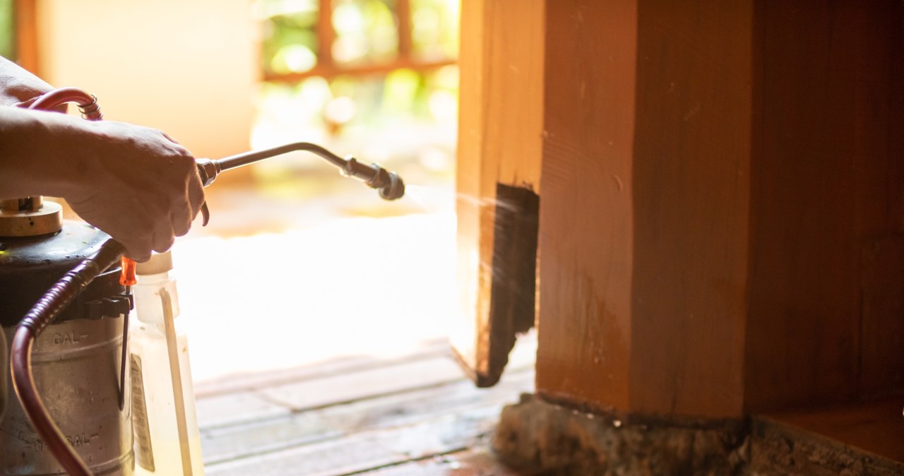 Seria śmiertelnych zatruć preparatami do zwalczania owadów. W całej Polsce trwają kontrole