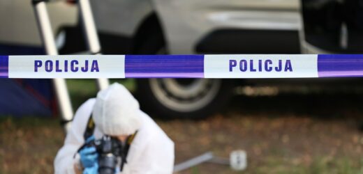 Ludzkie zwłoki na drzewie. Makabryczne odkrycie na Opolszczyźnie