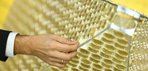 Choinka z 2024 złotych monet. Jest warta ponad 5 mln euro