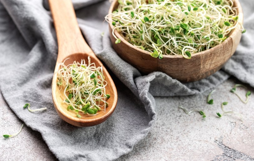 Kiełki popularnego warzywa jednym z najzdrowszych składników. Oto jak działają na ciało