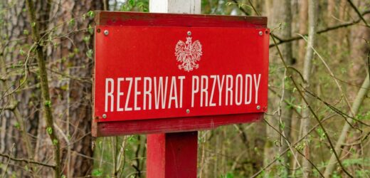 Powstały nowe rezerwaty przyrody na Lubelszczyźnie