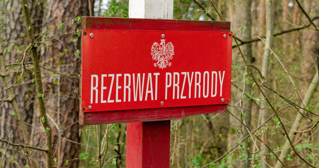 Powstały nowe rezerwaty przyrody na Lubelszczyźnie