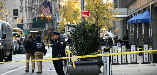 Zostawił wiadomość na łuskach. Zabójca z Manhattanu wciąż poszukiwany