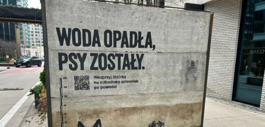 ​Mur z terenów powodziowych stanął w Warszawie
