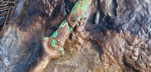 Spektakularne znalezisko na Podkarpaciu: Miecz z epoki brązu