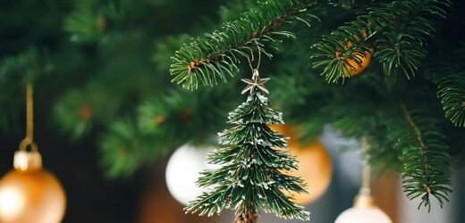 Parada Świąteczna i Jarmark w Pabianicach