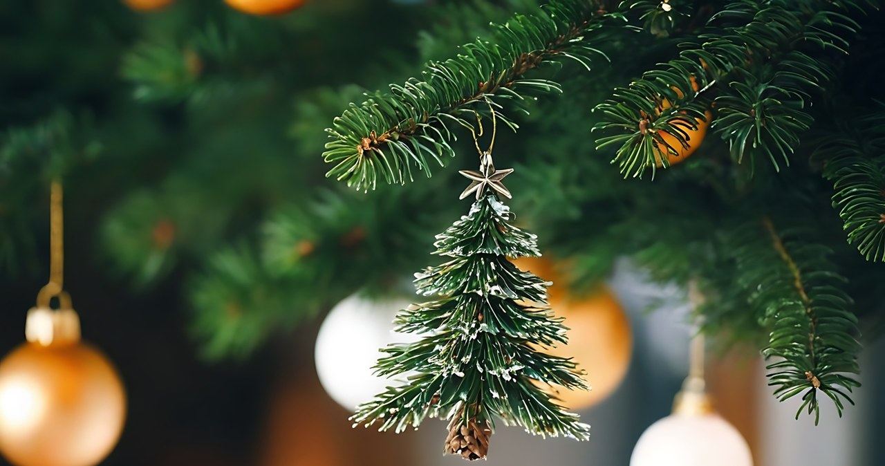 Parada Świąteczna i Jarmark w Pabianicach