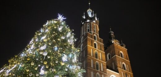 Na krakowskim rynku rozbłysła 15-metrowa choinka