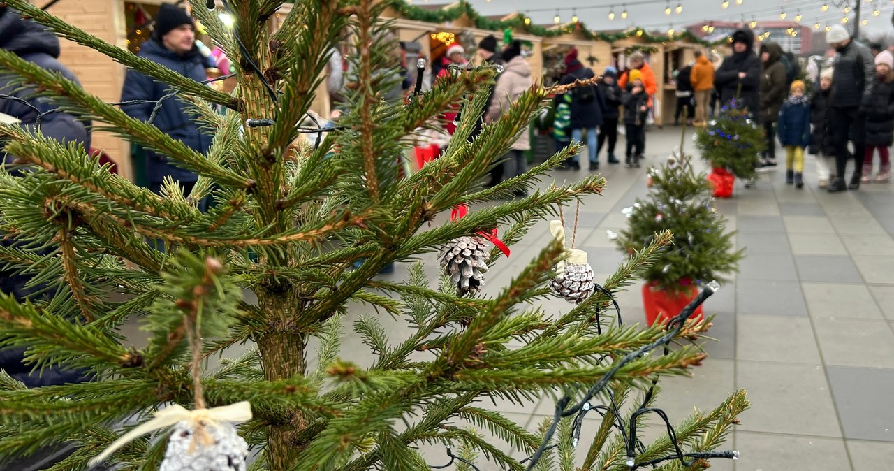 Mikołajki w Mikołajkach. Za nami bieg, wciąż trwa jarmark