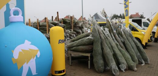 „Choinki pod choinkę od RMF FM i Małopolski”. Dziś będziemy we Wrocławiu!