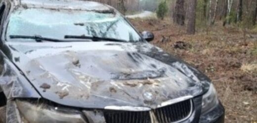 Nowym autem cieszyła się kilkadziesiąt minut. Bmw dachowało