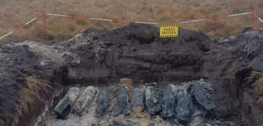 Kolejnych dziesięć niewybuchów znaleziono w Przedborzu. Zobacz wideo