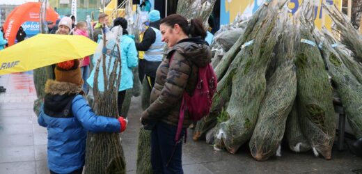 „Choinki pod choinkę od RMF FM i Małopolski”. Dzisiaj będziemy w Łodzi