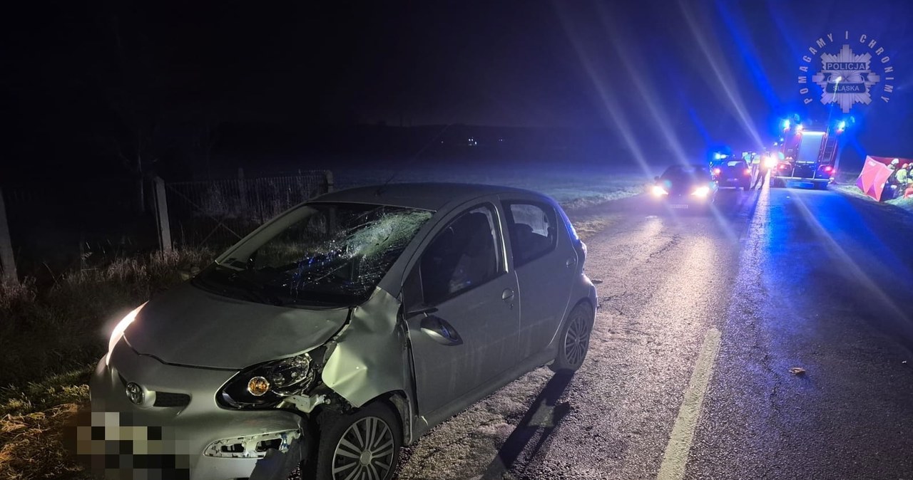 28-latek zginął na miejscu. Tragiczny wypadek na Śląsku