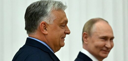 Doradca Zełenskiego: Węgry nie uprzedziły nas o kontaktach z Moskwą